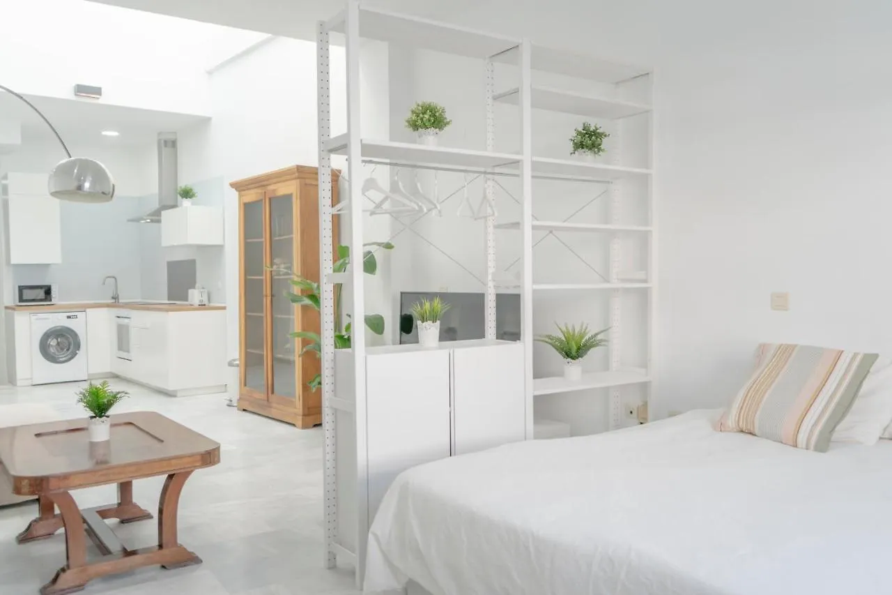 Loft Super Luminoso En El Centro Del Puerto De Santa Maria. Apartment 0*,  Spain