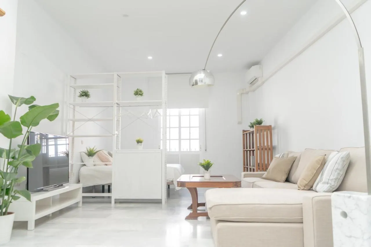 Loft Super Luminoso En El Centro Del Puerto De Santa Maria. Apartment Spain