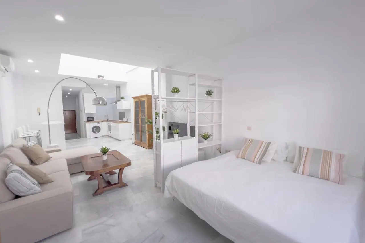 Loft Super Luminoso En El Centro Del Puerto De Santa Maria. Apartment